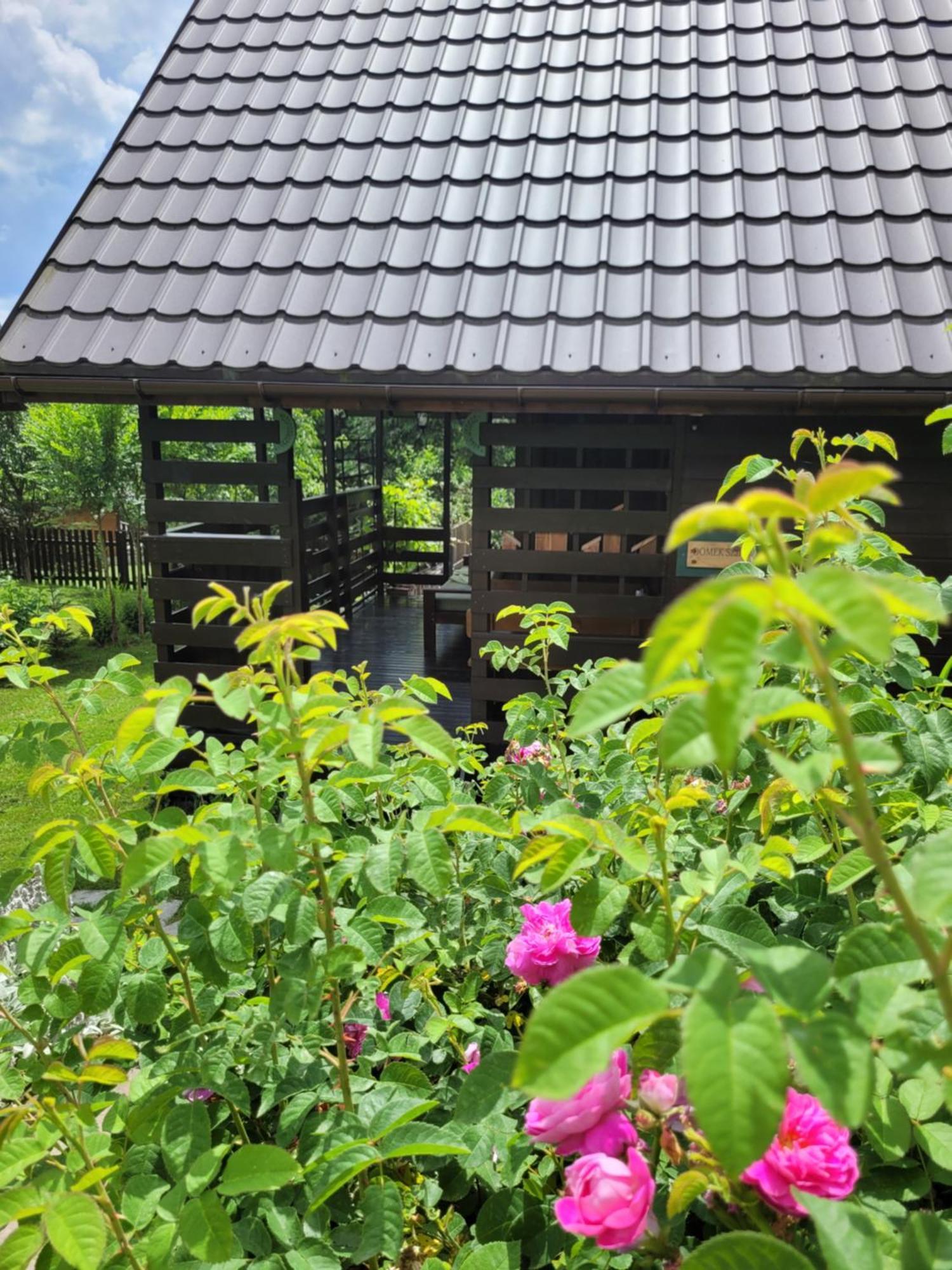 Osada Bura Polana Villa Ujsoły Buitenkant foto