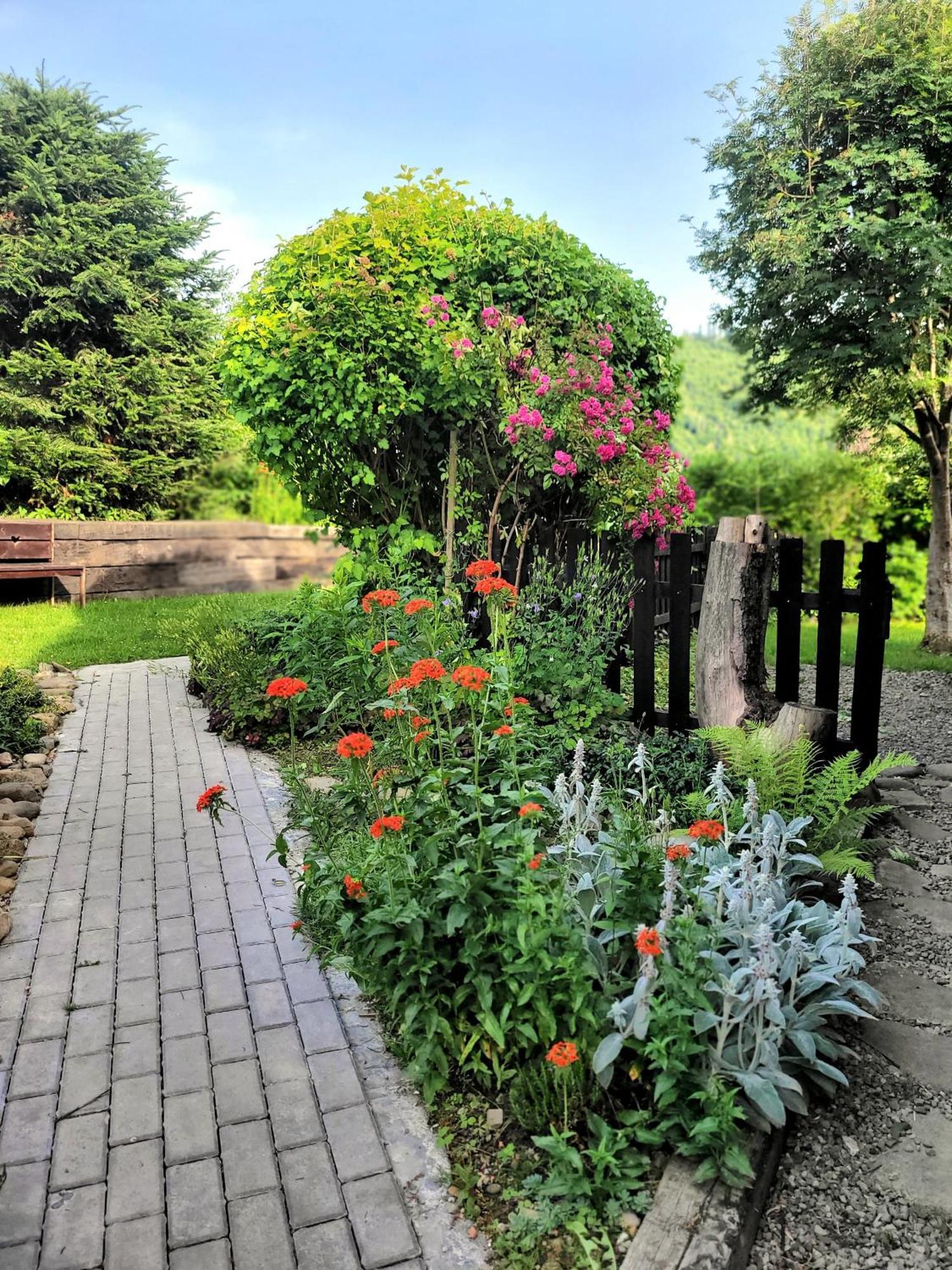 Osada Bura Polana Villa Ujsoły Buitenkant foto